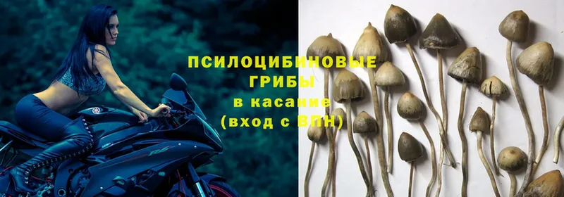 Галлюциногенные грибы Magic Shrooms  Бирск 